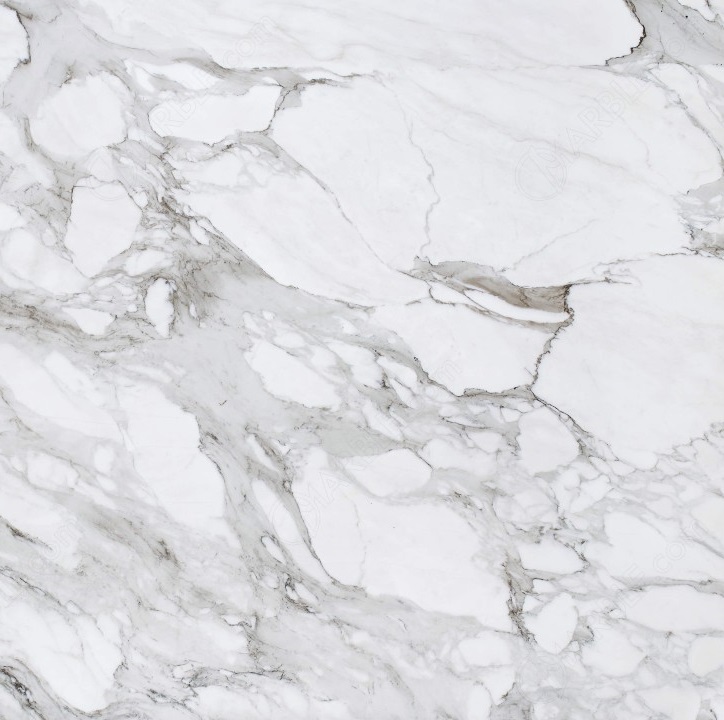 calacata white marble